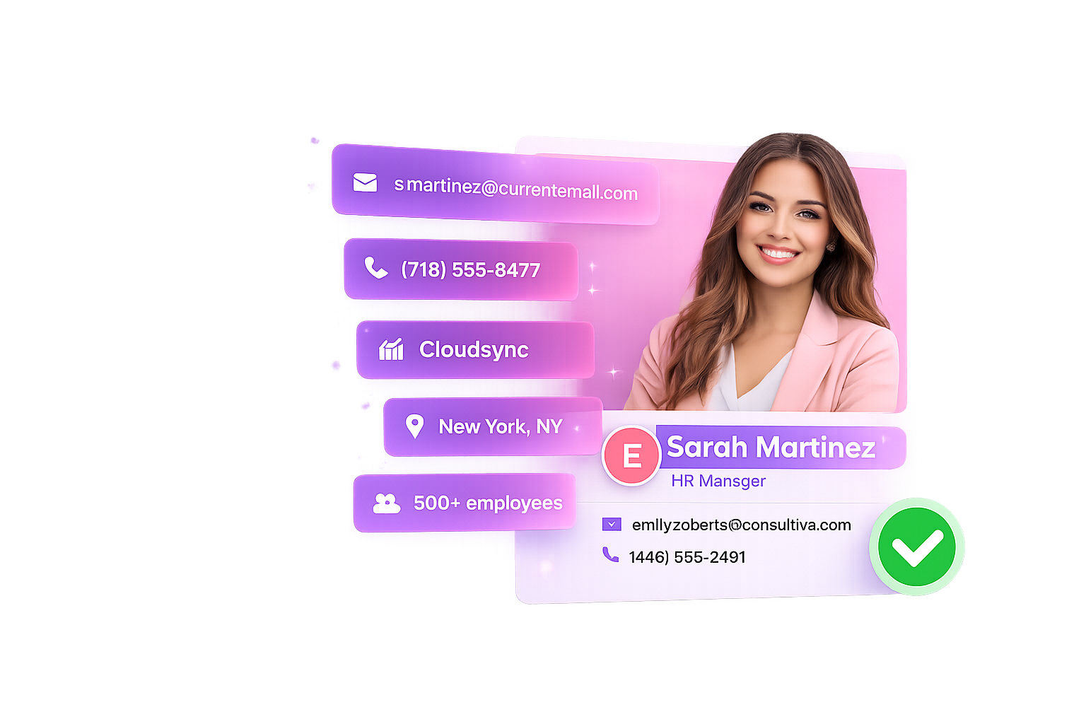 Data Enrichment Visualization